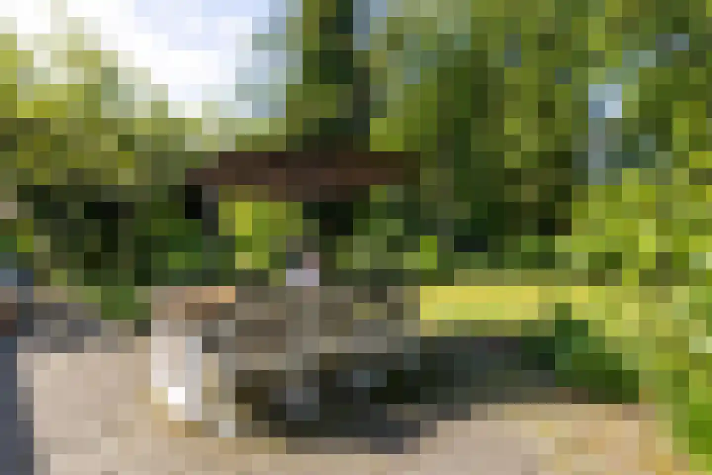 Broekstraat 17 Gemonde thumbnail 26