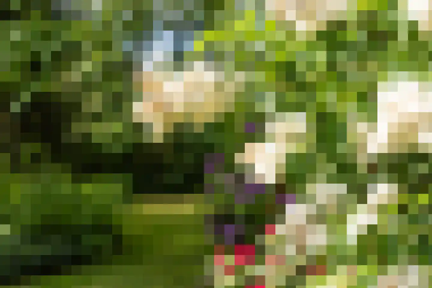 Broekstraat 17 Gemonde thumbnail 28