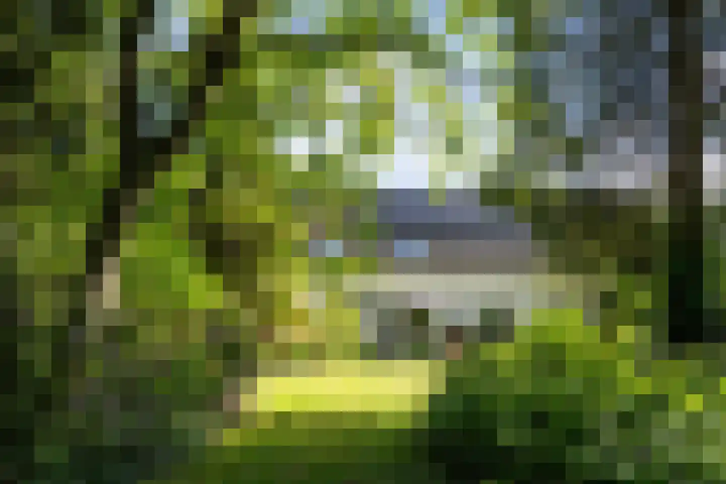 Broekstraat 17 Gemonde thumbnail 29