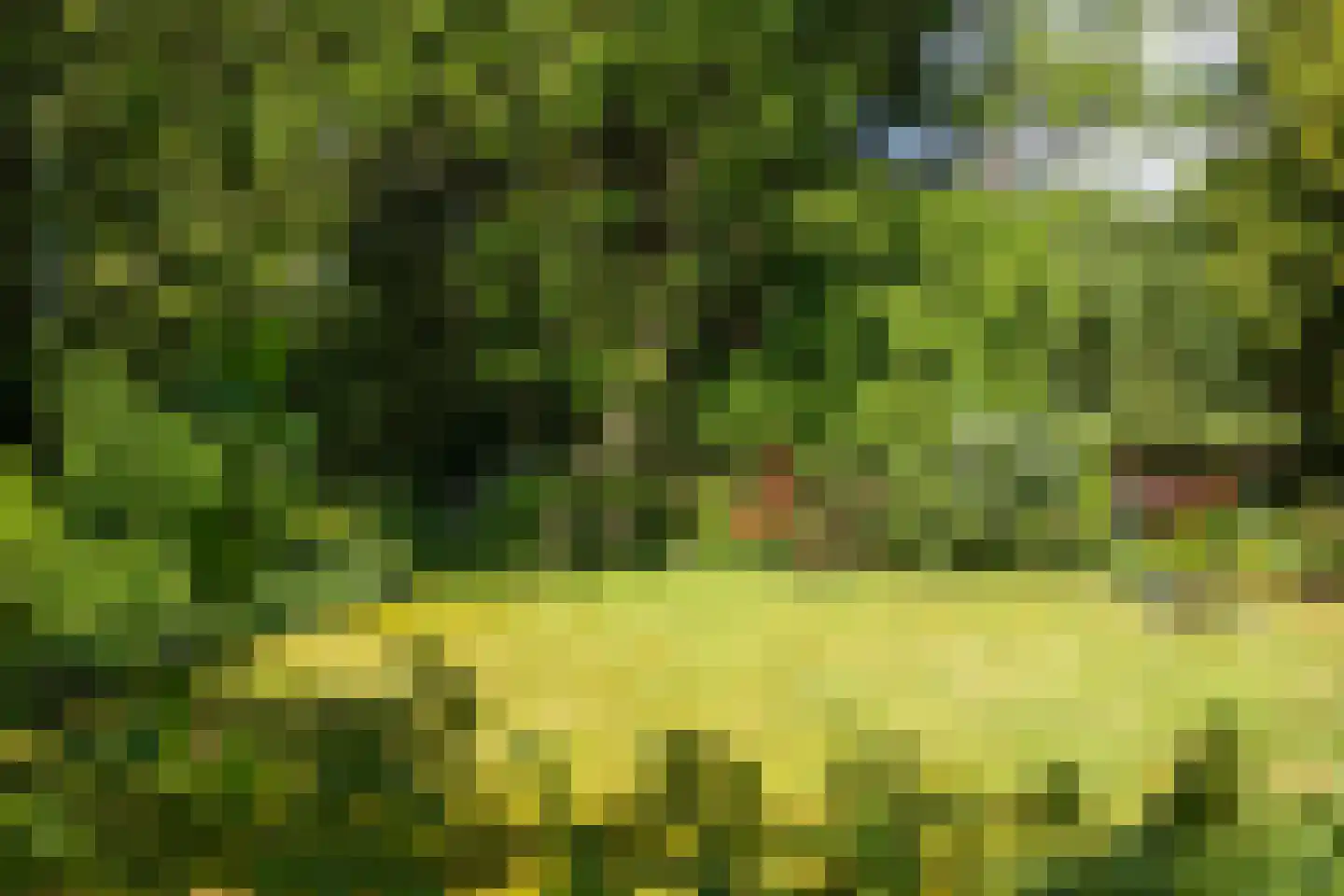 Broekstraat 17 Gemonde thumbnail 30