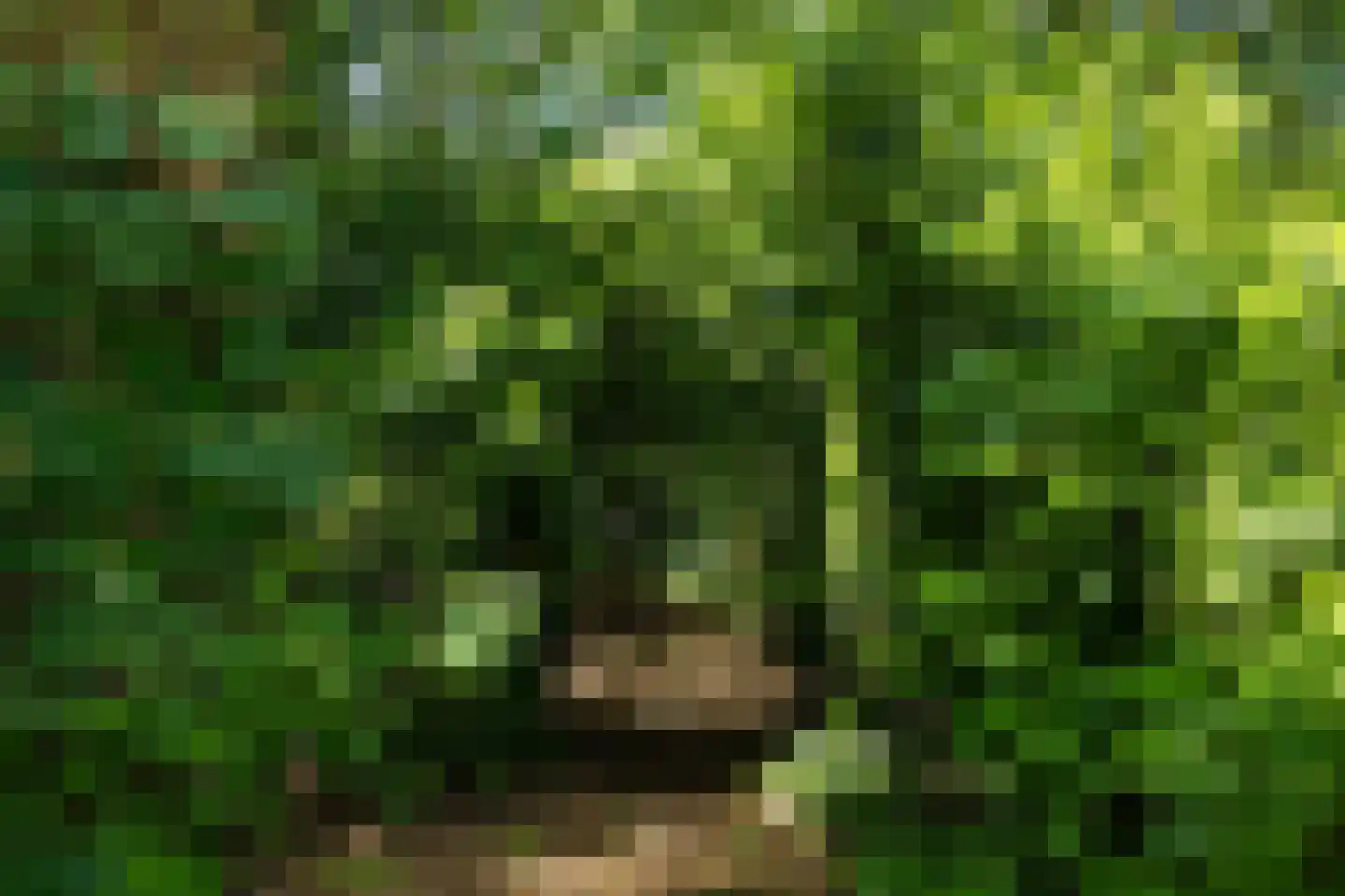 Broekstraat 17 Gemonde thumbnail 31
