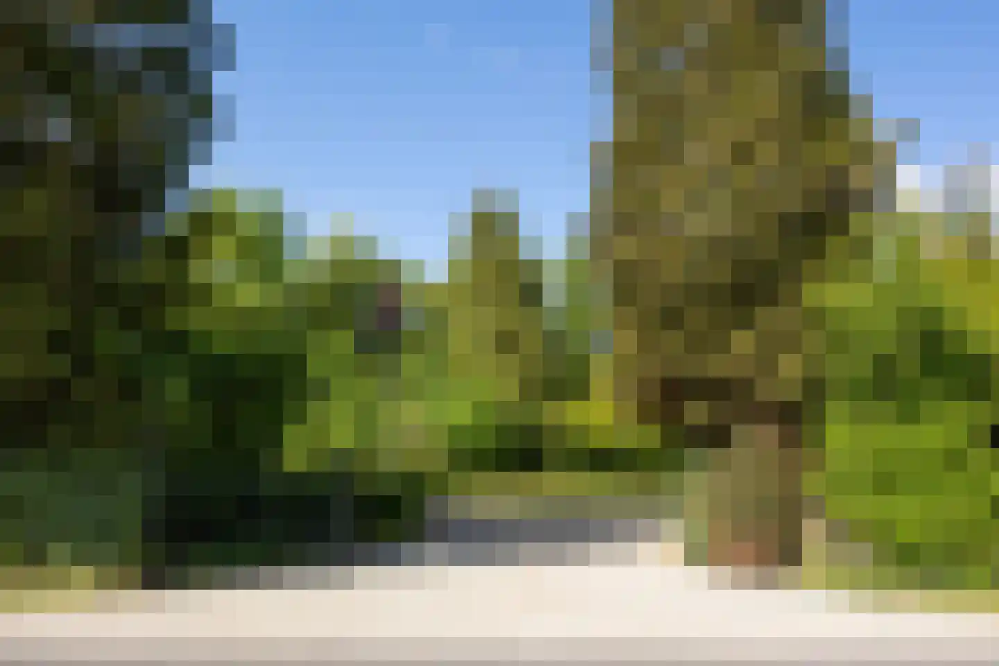 Broekstraat 17 Gemonde thumbnail 35