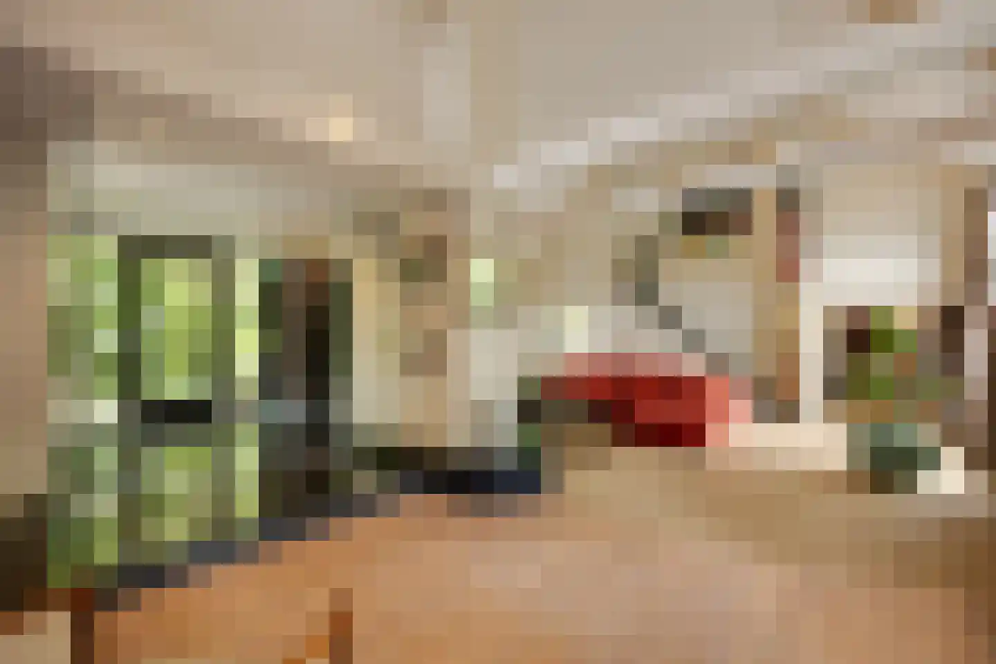 Broekstraat 17 Gemonde thumbnail 5