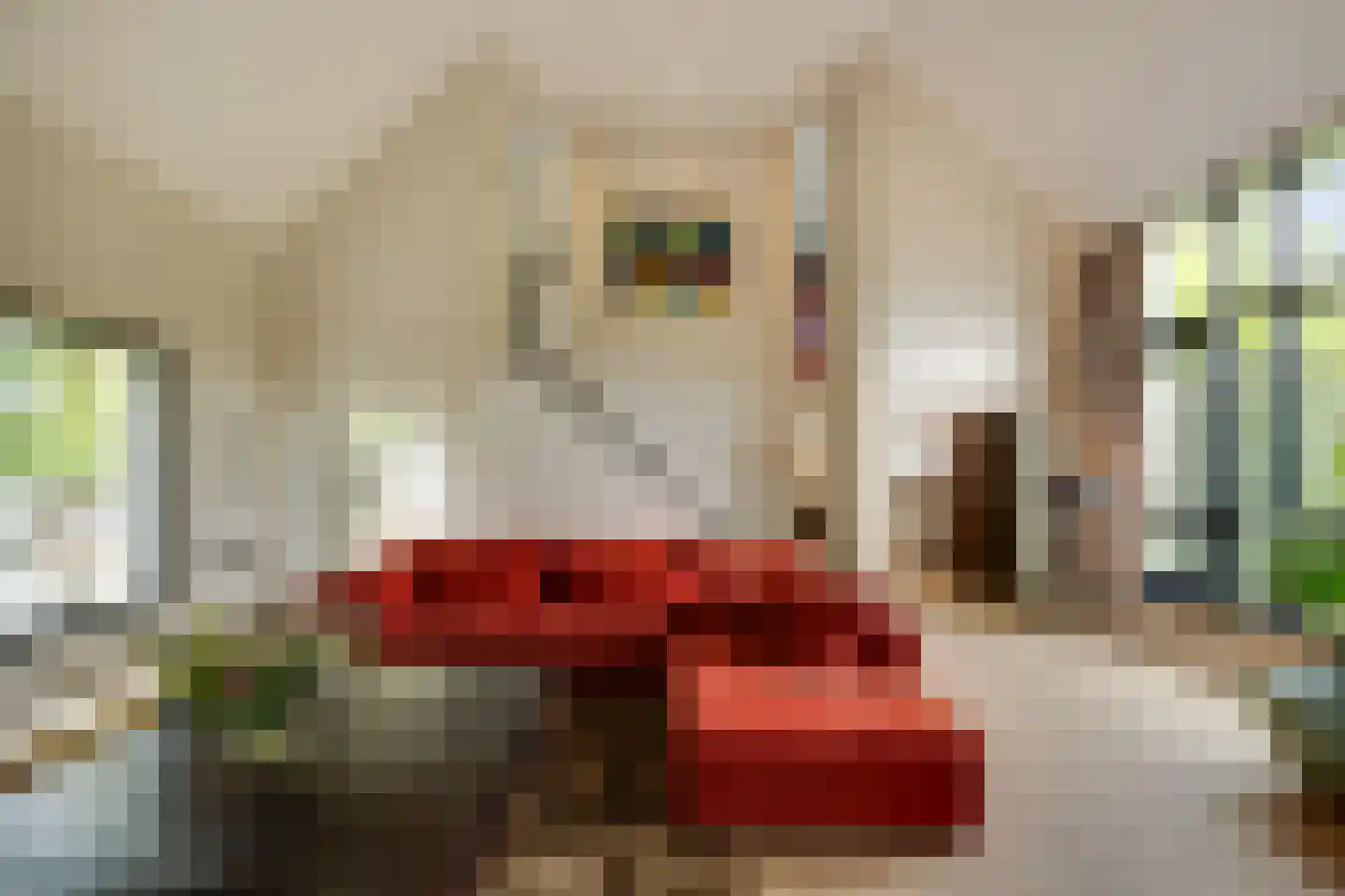Broekstraat 17 Gemonde thumbnail 6