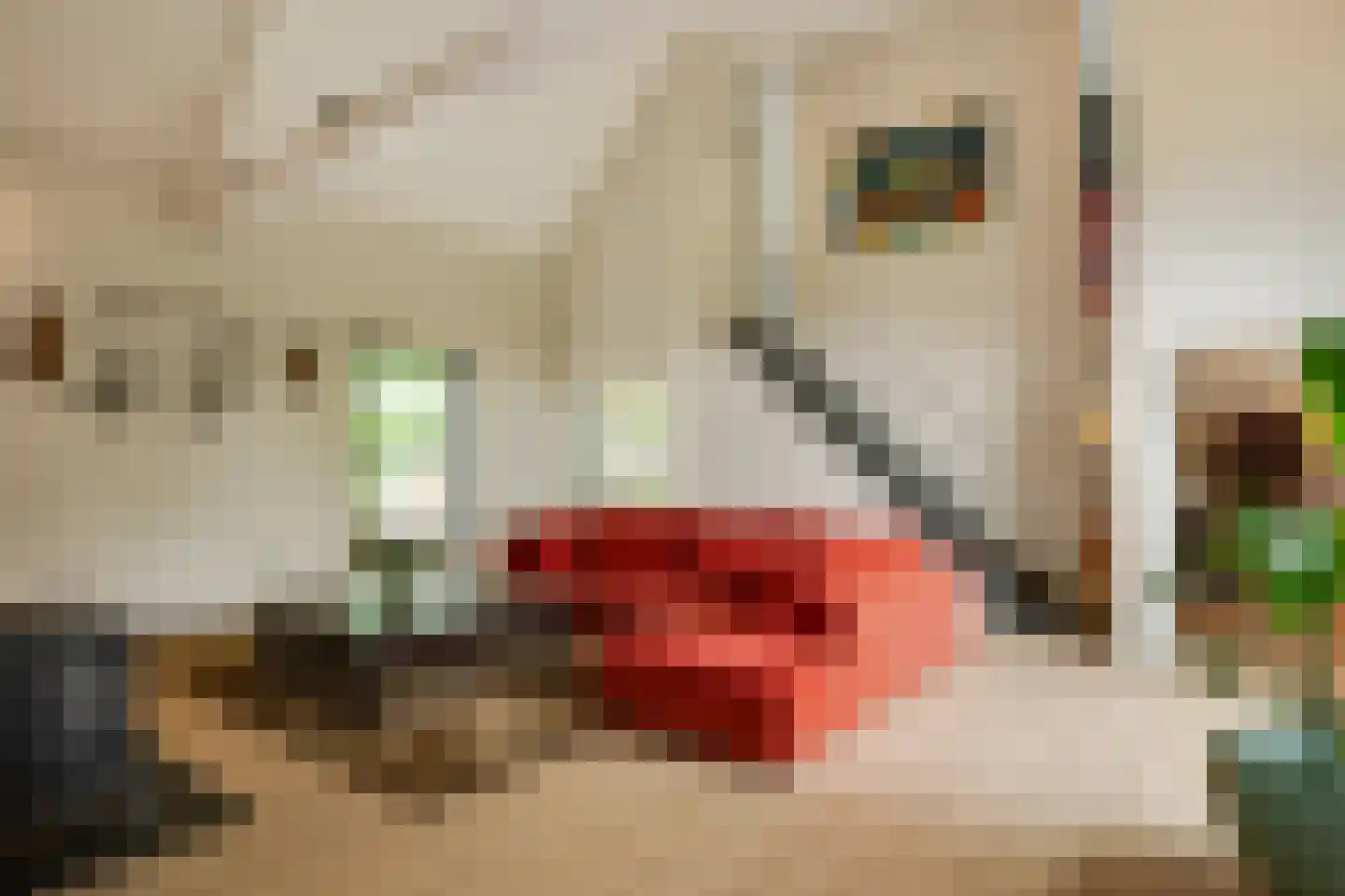 Broekstraat 17 Gemonde thumbnail 9