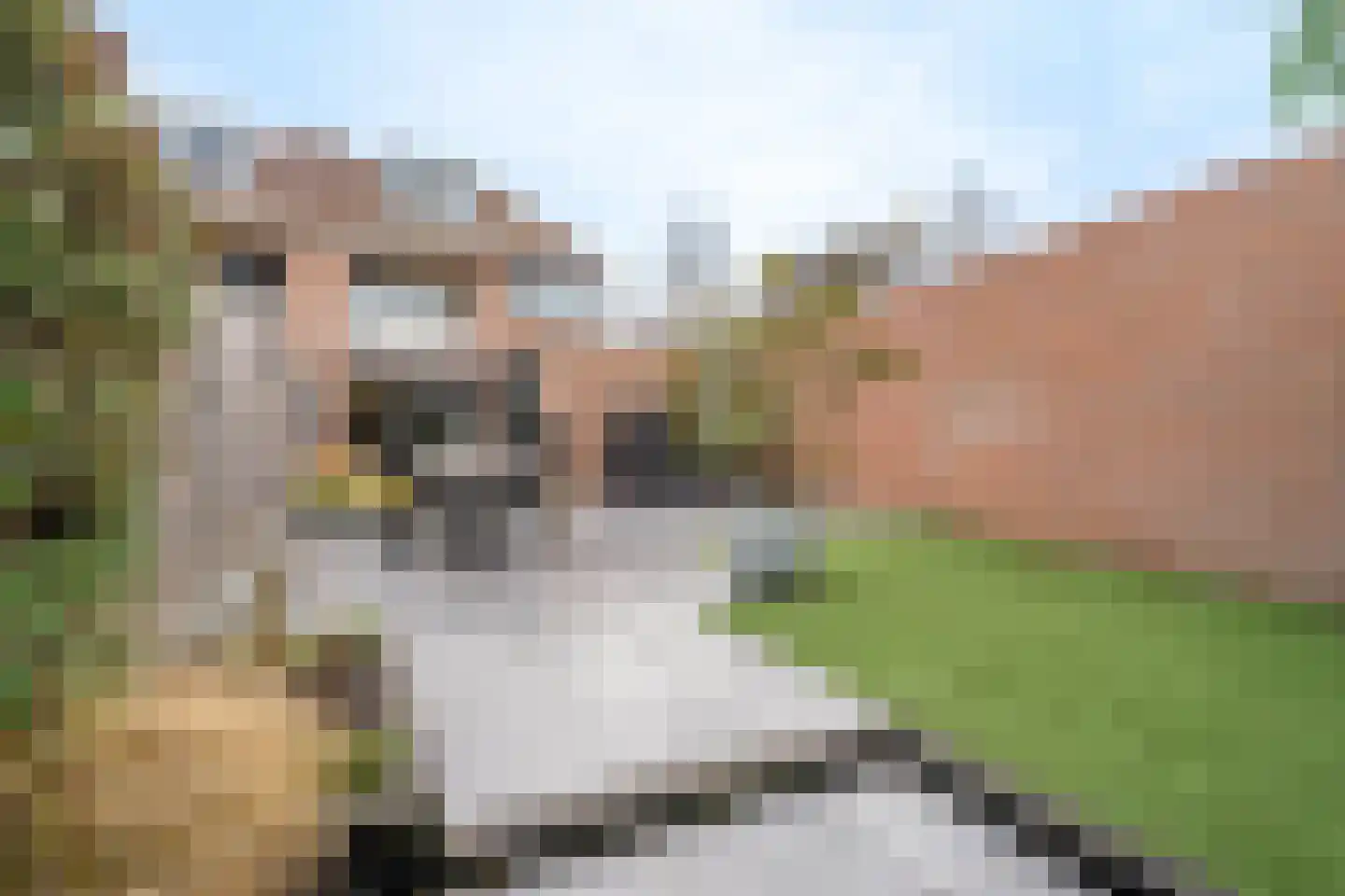 Broekstraat 18 Dorst thumbnail 38