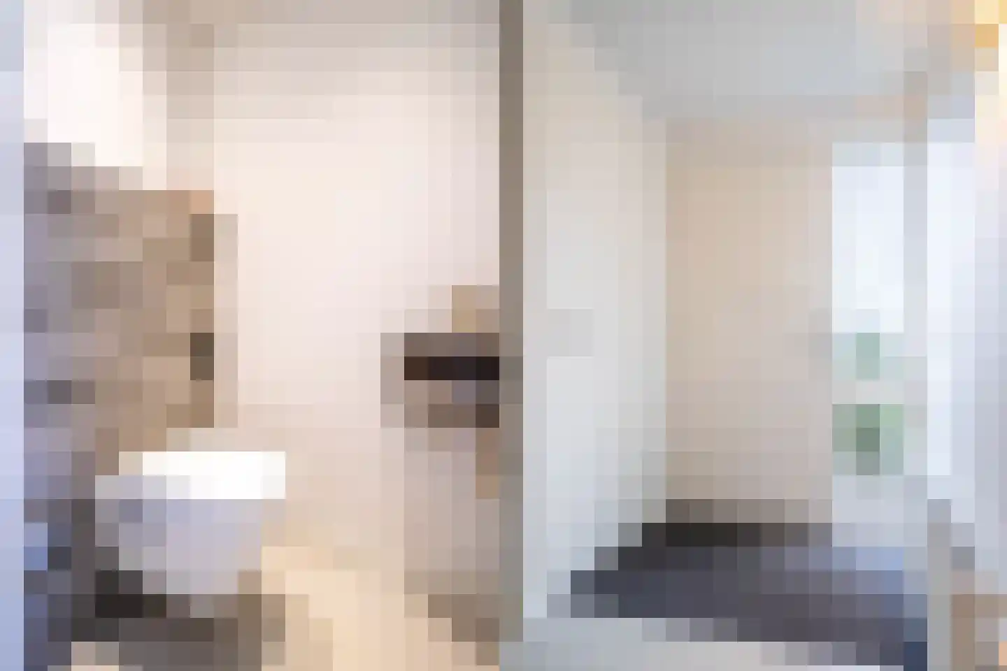 Broekstraat 18 Dorst thumbnail 7