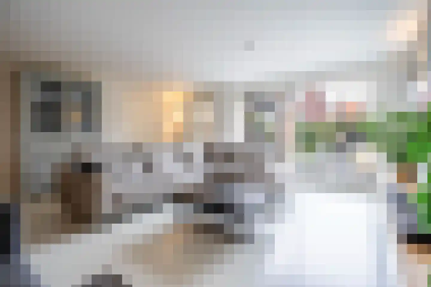 Broekstraat 18 Dorst thumbnail 8