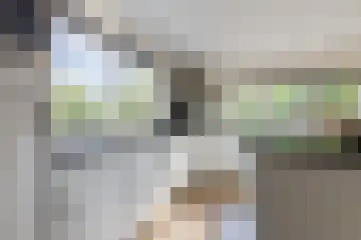 Broekstraat 2 Duiven thumbnail 12