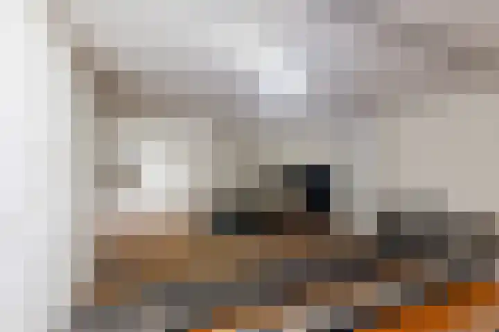 Broekstraat 2 Duiven thumbnail 16