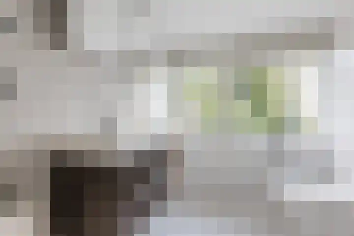 Broekstraat 2 Duiven thumbnail 28