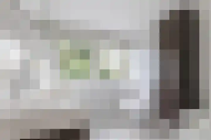 Broekstraat 2 Duiven thumbnail 29