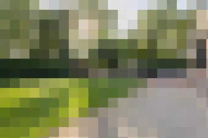 Broekstraat 2 Duiven thumbnail 37
