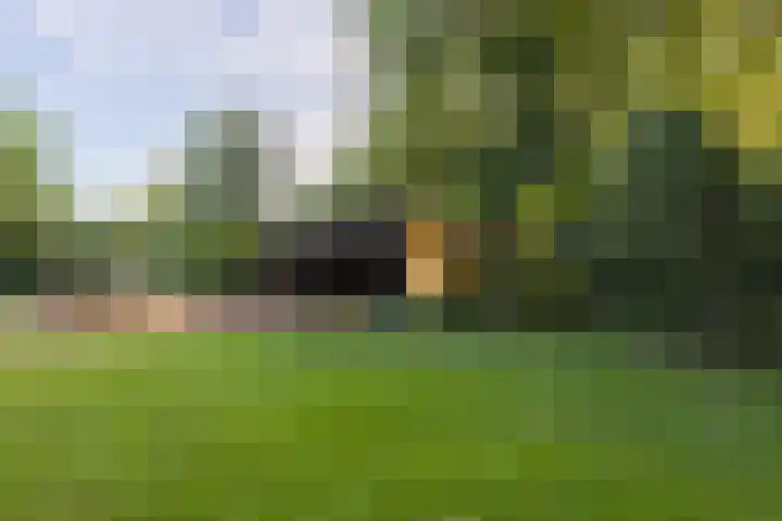 Broekstraat 2 Duiven thumbnail 41