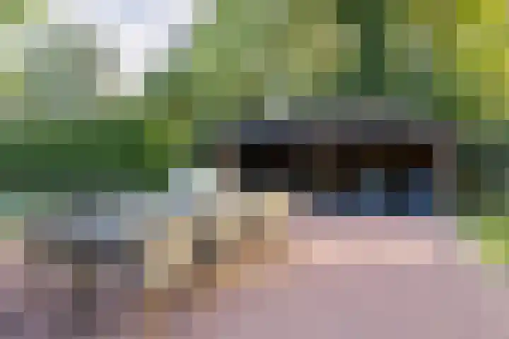 Broekstraat 2 Duiven thumbnail 42