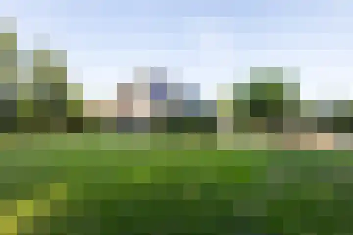 Broekstraat 2 Duiven thumbnail 45