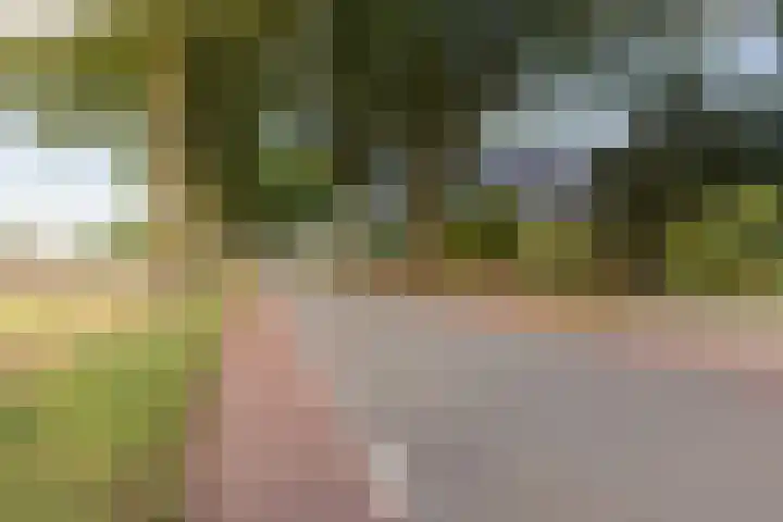 Broekstraat 2 Duiven thumbnail 47