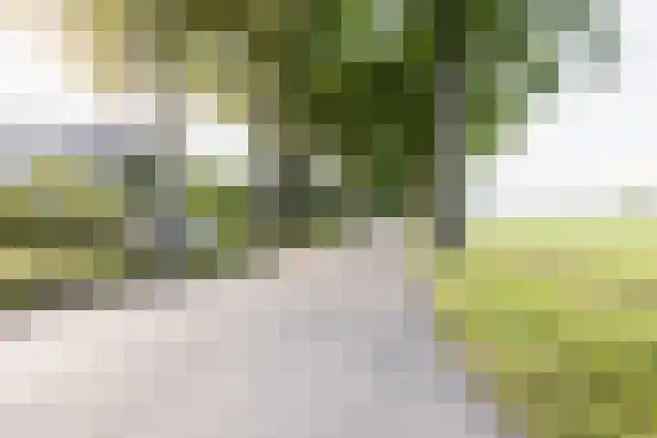 Broekstraat 2 Duiven thumbnail 48
