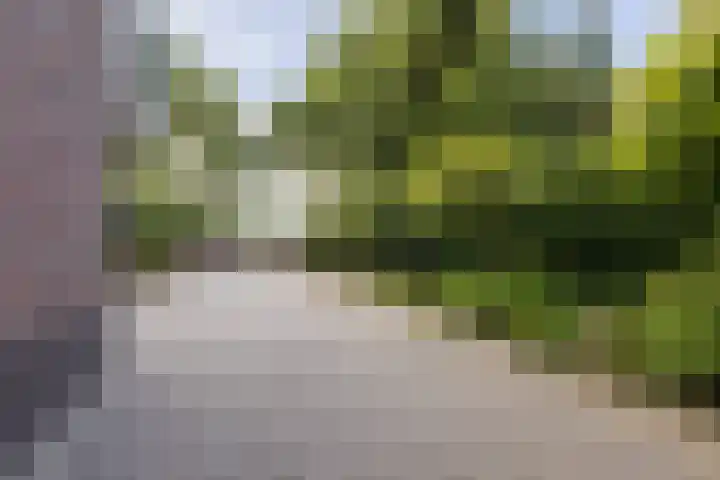Broekstraat 2 Duiven thumbnail 5