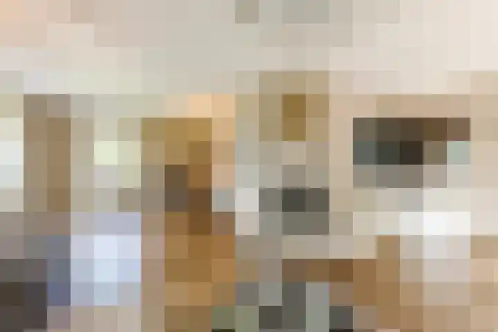 Broekstraat 2 Duiven thumbnail 9