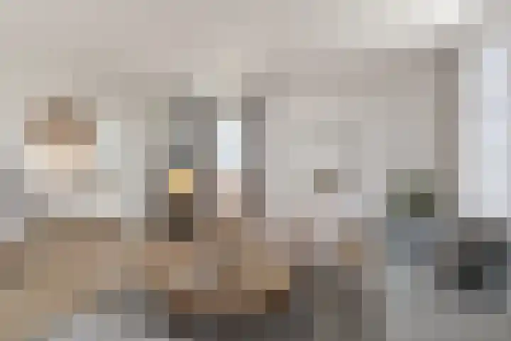 Broekstraat 2 Oirschot thumbnail 12