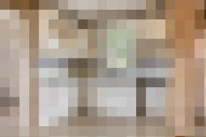 Broekstraat 2 Oirschot thumbnail 16