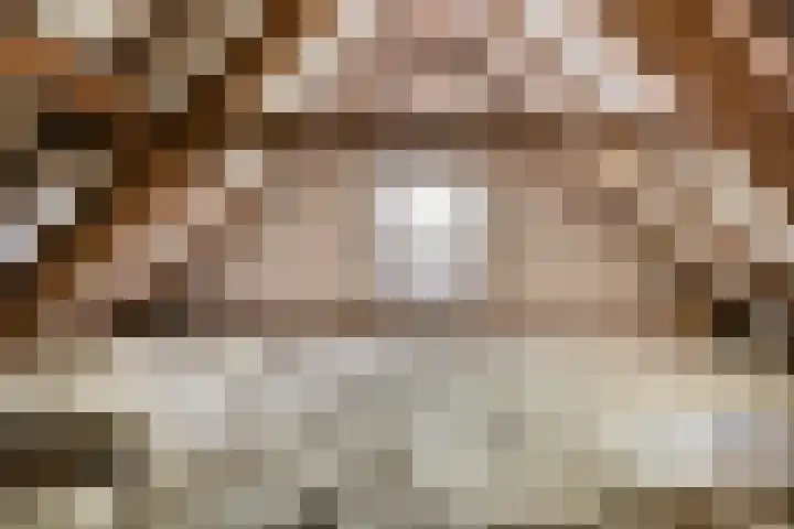 Broekstraat 2 Oirschot thumbnail 26