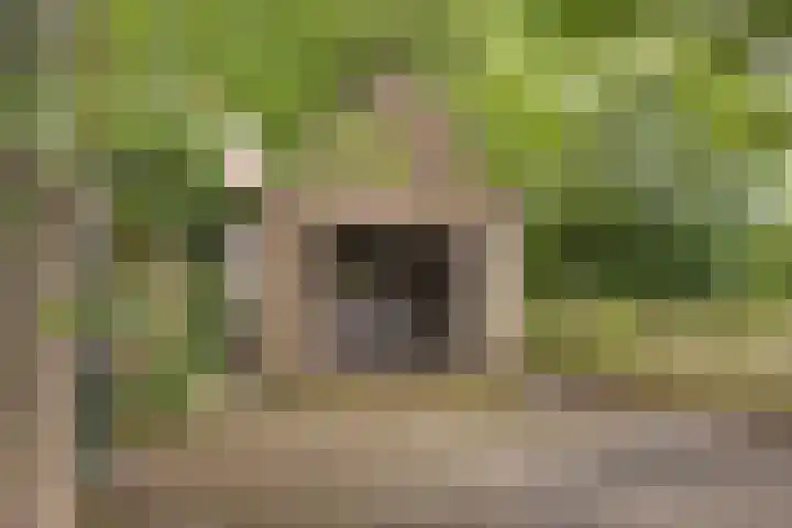Broekstraat 2 Oirschot thumbnail 27