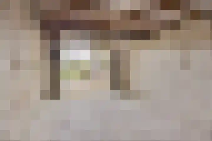 Broekstraat 2 Oirschot thumbnail 29