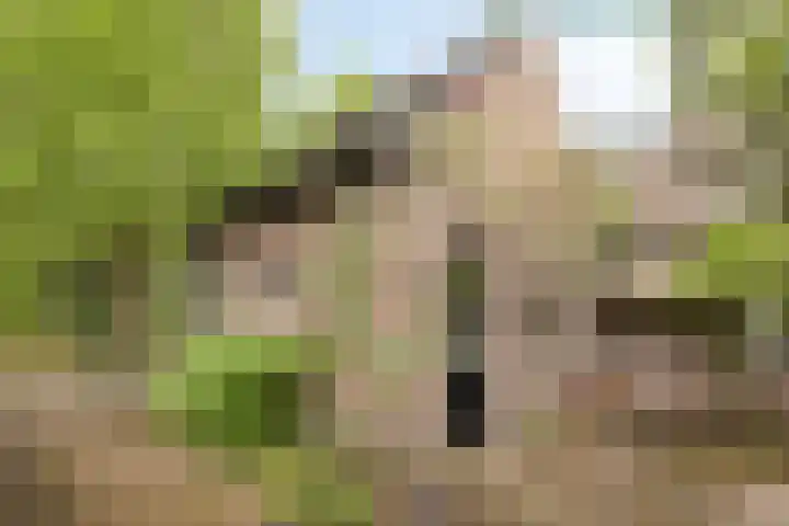 Broekstraat 2 Oirschot thumbnail 32