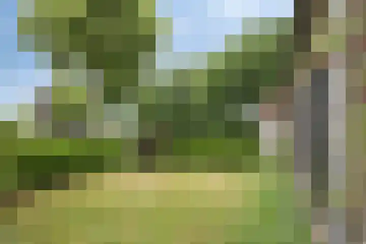 Broekstraat 2 Oirschot thumbnail 34