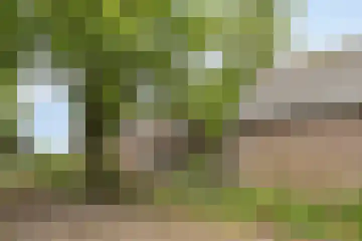 Broekstraat 2 Oirschot thumbnail 35