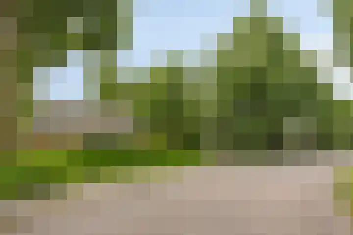 Broekstraat 2 Oirschot thumbnail 38