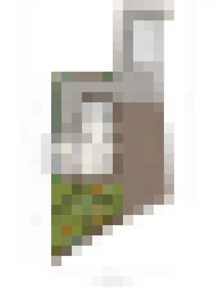 Broekstraat 2 Oirschot thumbnail 39