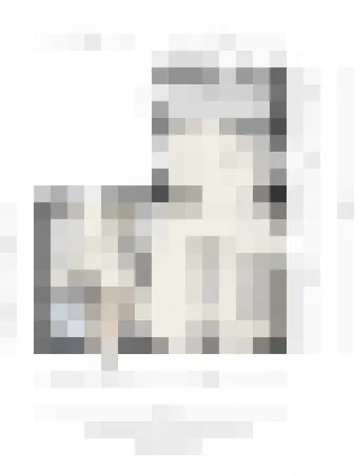 Broekstraat 2 Oirschot thumbnail 40
