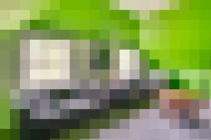 Broekstraat 2 Oploo thumbnail 37