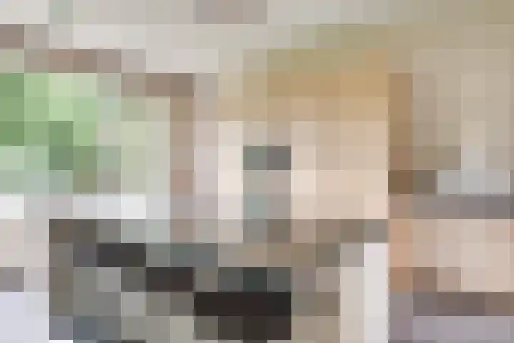 Broekstraat 2 Oploo thumbnail 4