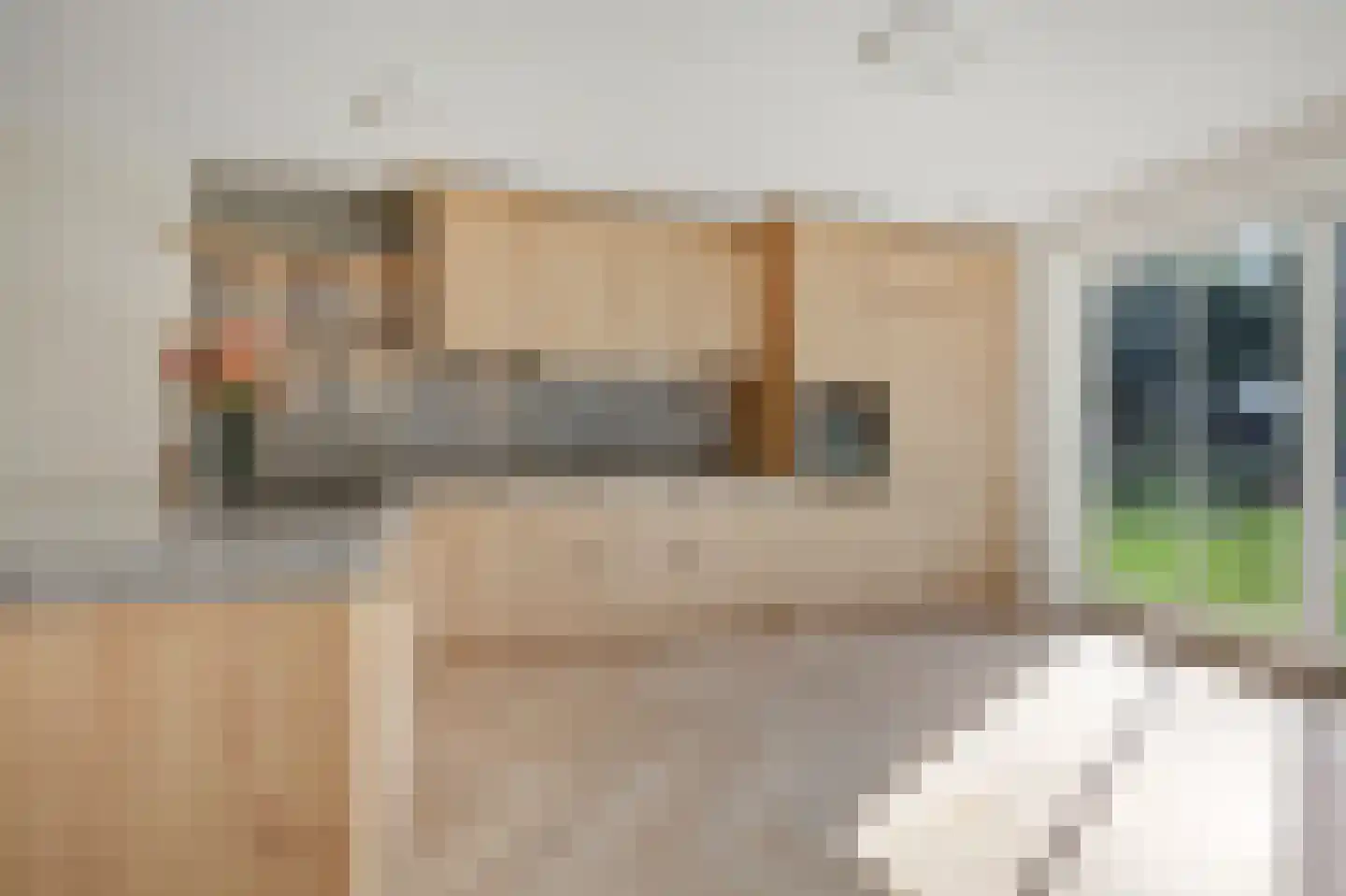 Broekstraat 2 Wehl thumbnail 28