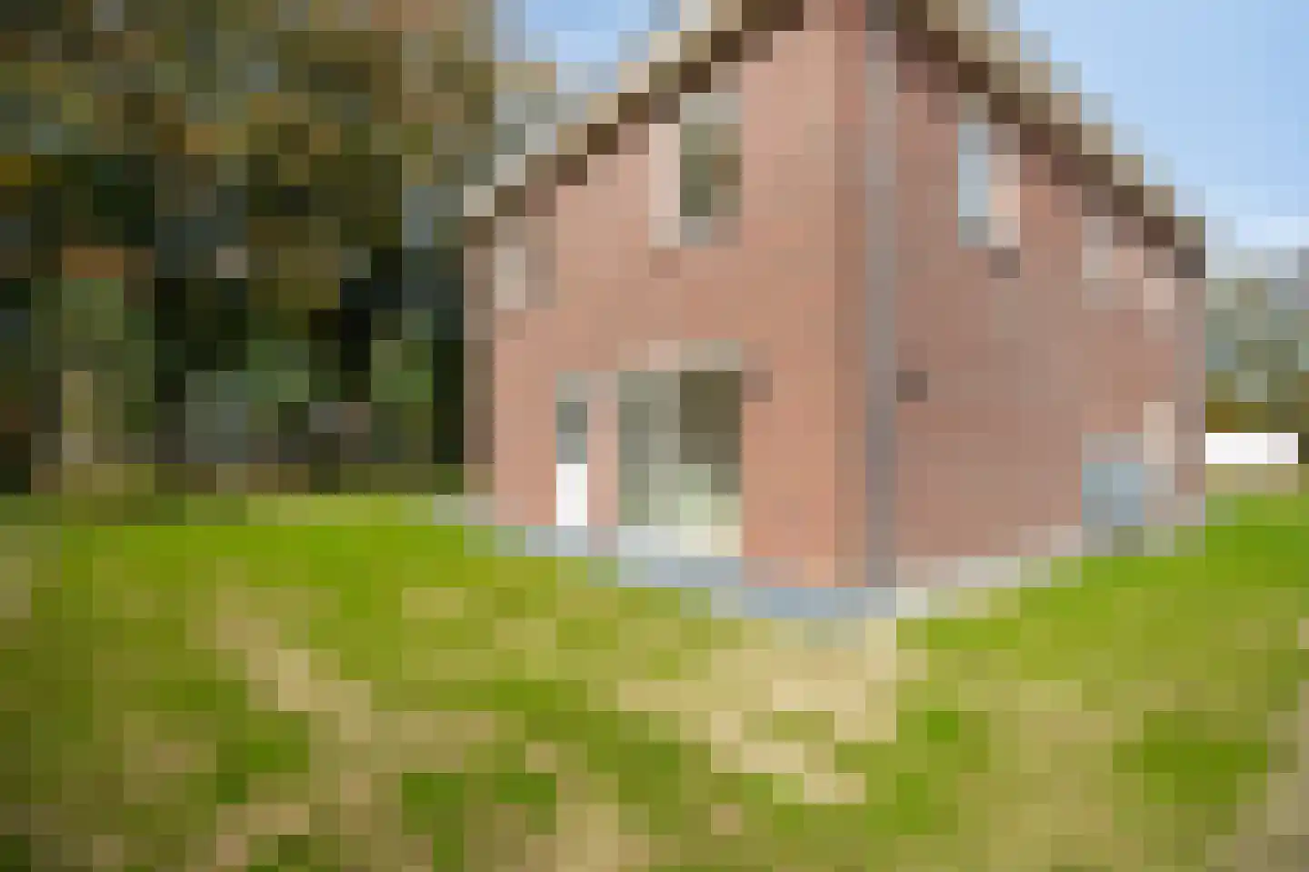 Broekstraat 2 Wehl thumbnail 64
