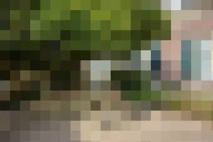 Broekstraat 20 Hummelo thumbnail 18