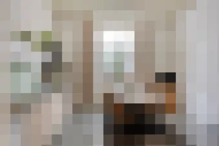 Broekstraat 20 Hummelo thumbnail 23