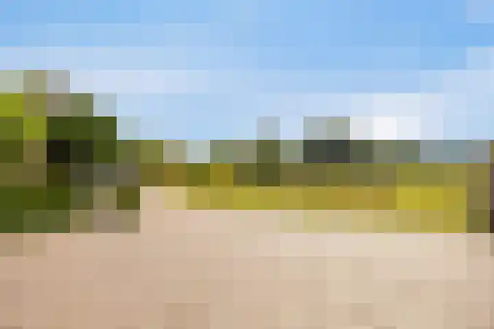 Broekstraat 20 Hummelo thumbnail 7