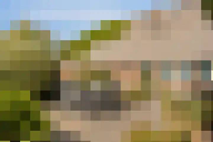 Broekstraat 20 Hummelo thumbnail 8