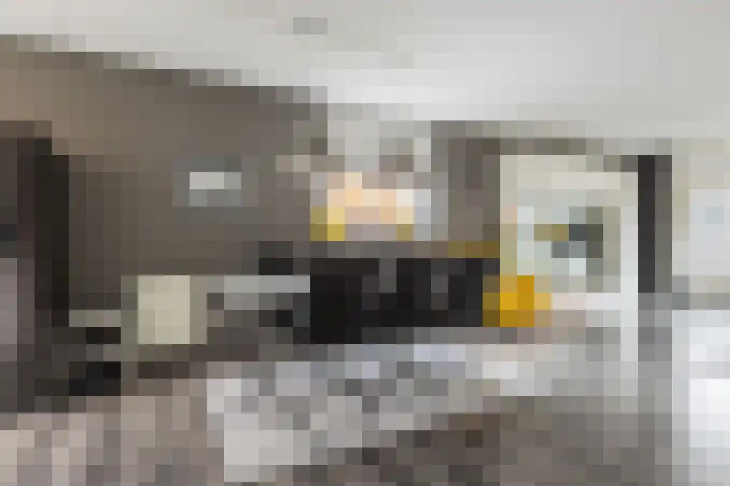 Broekstraat 205 Arnhem thumbnail 10