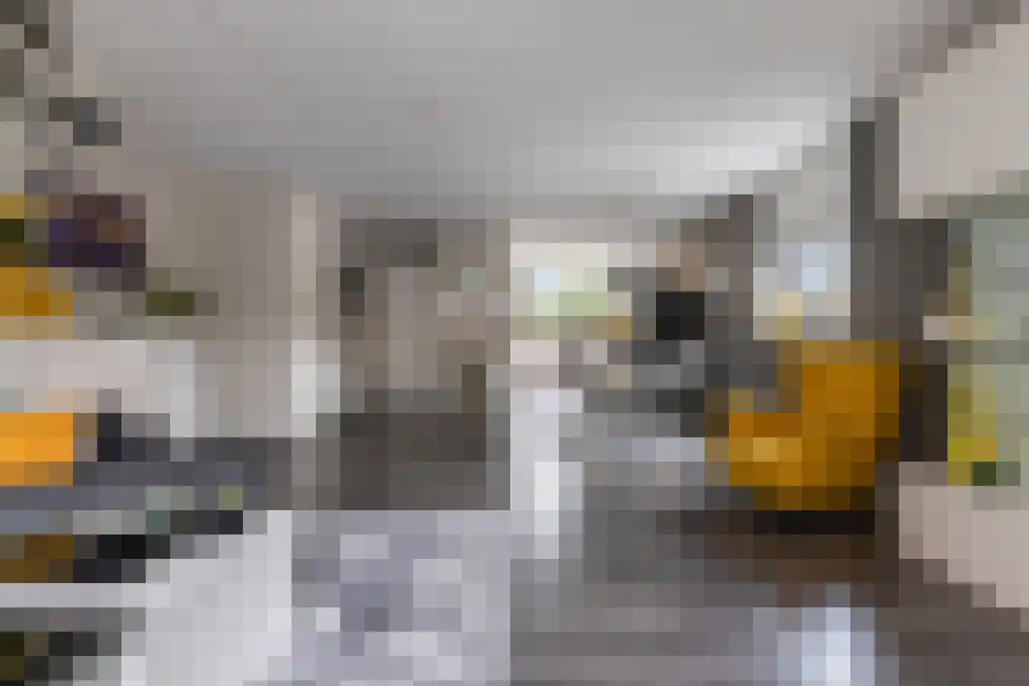 Broekstraat 205 Arnhem thumbnail 15