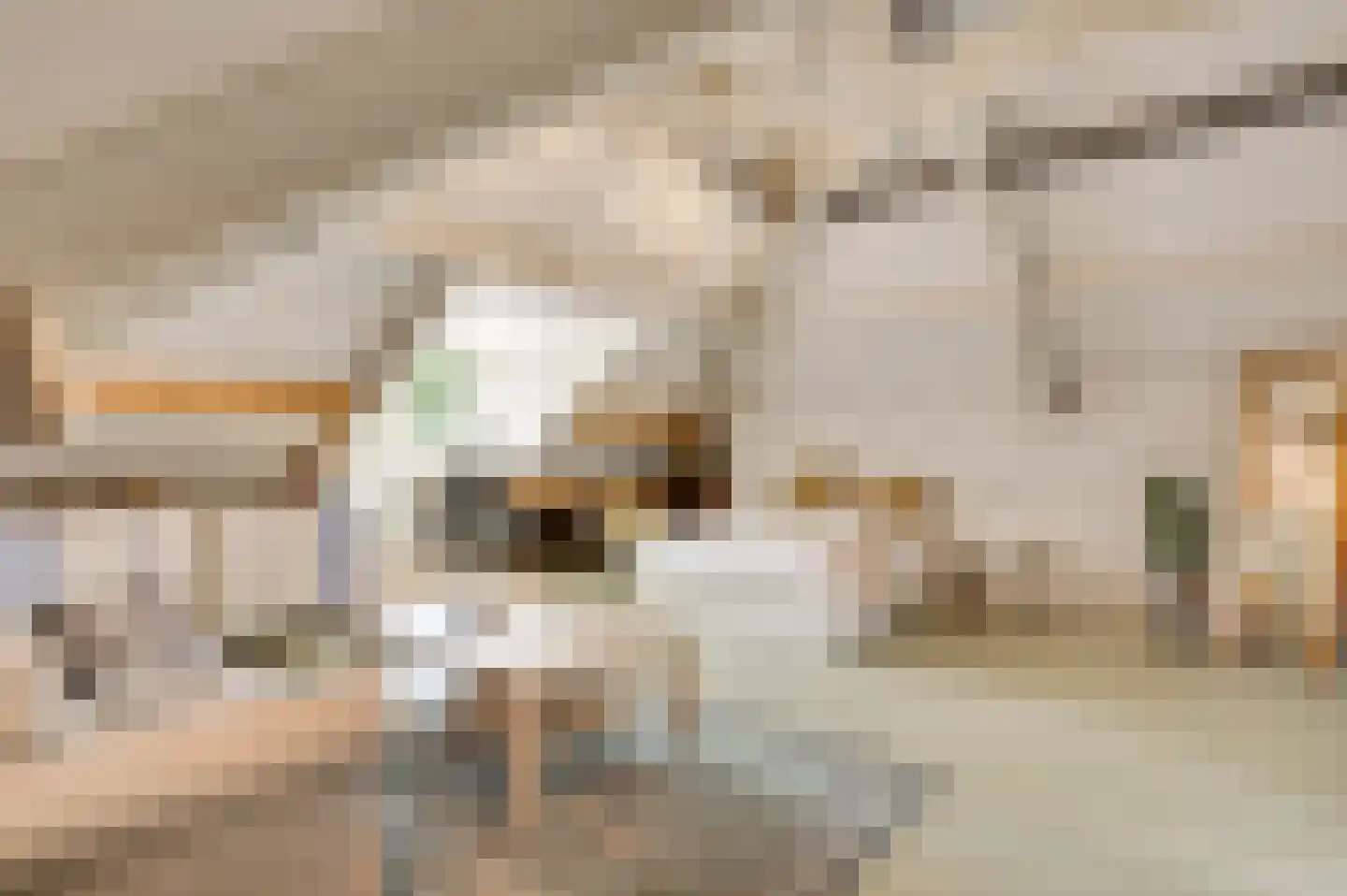 Broekstraat 23 Herten thumbnail 101