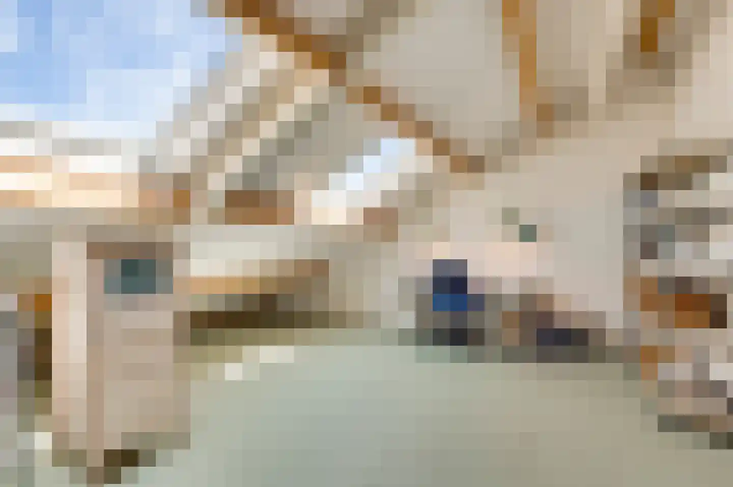 Broekstraat 23 Herten thumbnail 104