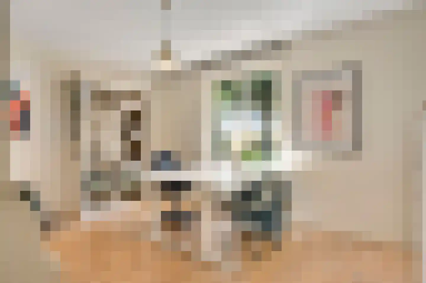 Broekstraat 23 Herten thumbnail 24