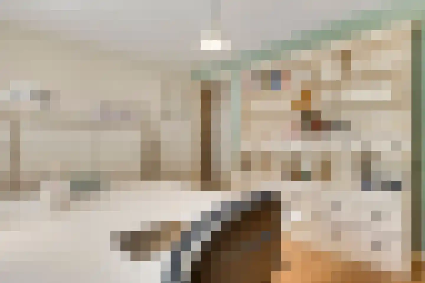 Broekstraat 23 Herten thumbnail 25