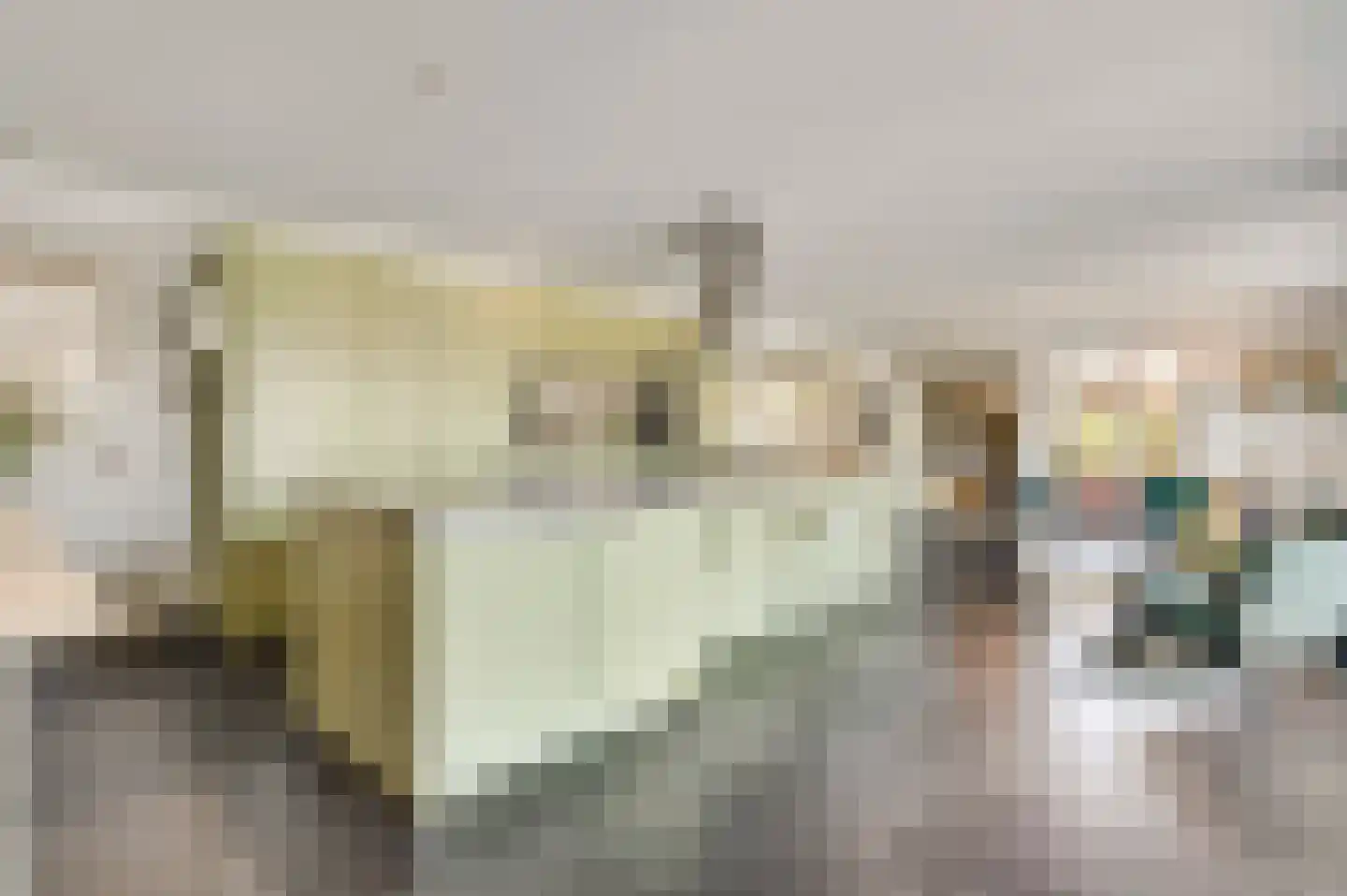 Broekstraat 23 Herten thumbnail 29